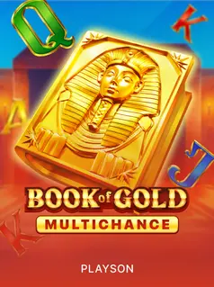 Book of Gold Multichance game