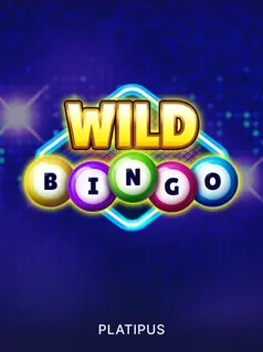 Wild Bingo game