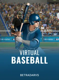 Virtual Baseball game