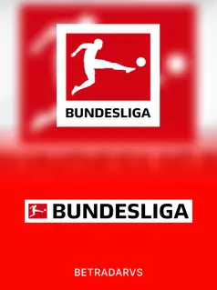 Bundesliga game