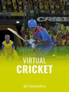 Virtual Cricket game