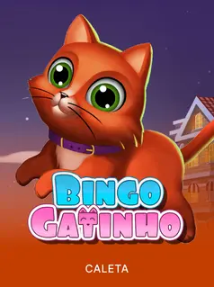 Bingo Gatinho game