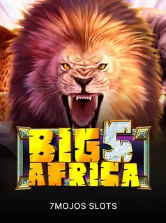 Big 5 Africa game