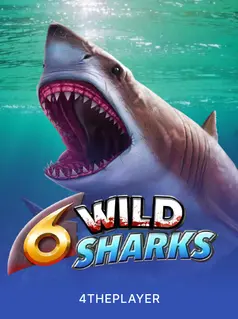 6 Wild Sharks game