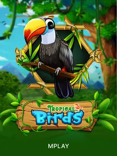 Tropical Birds game