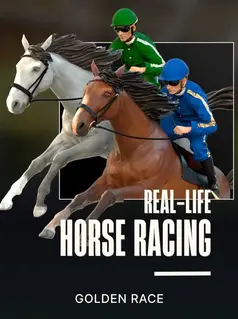 Horses 6 V2 game